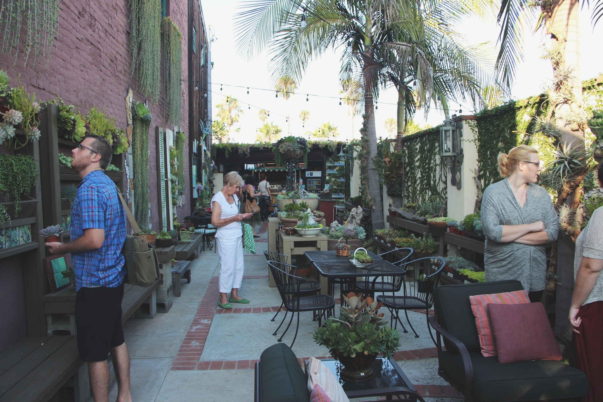 Succulent Cafe Oceanside via Needles + Leaves